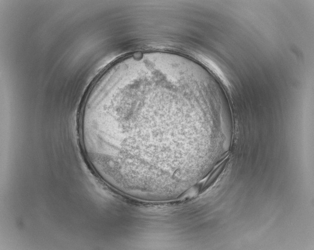 X0000114531047200911161332