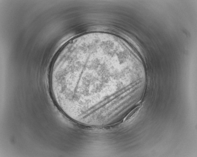 X0000114531050200911161332