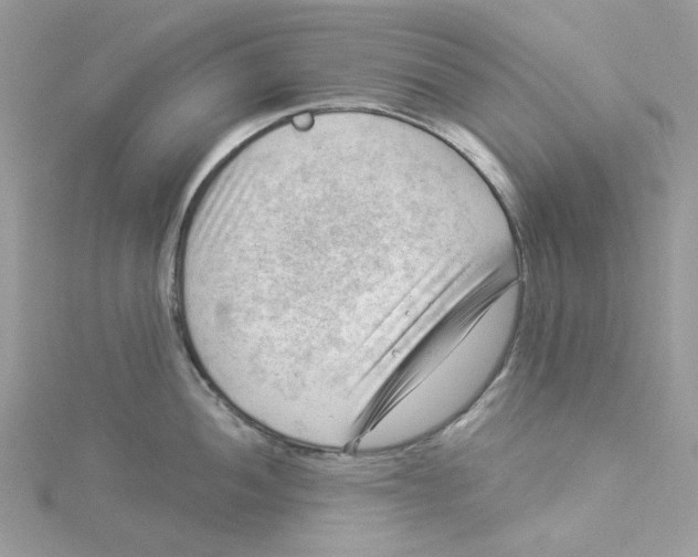 X0000114531052200911161333