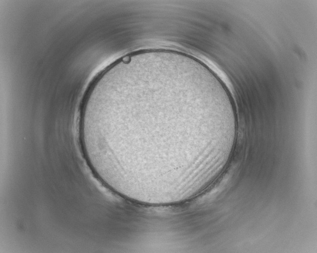 X0000114531053200911161333