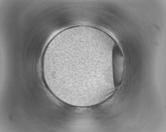 X0000114531056200911161333