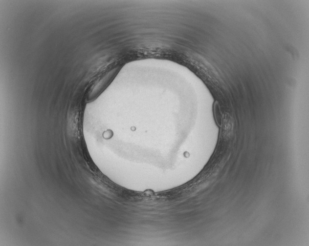 X0000114531060200911161332