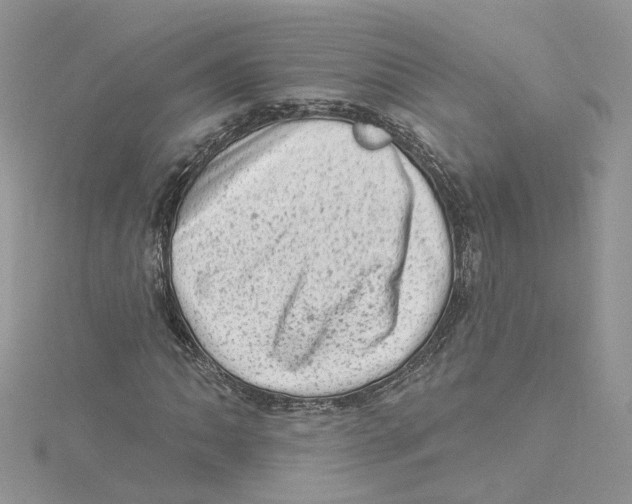 X0000114531062200911161332