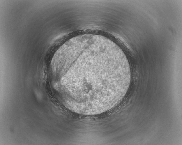 X0000114531063200911161332