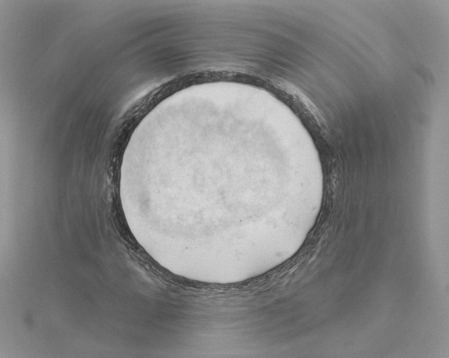 X0000114531064200911161332