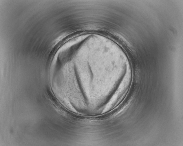 X0000114531065200911161332