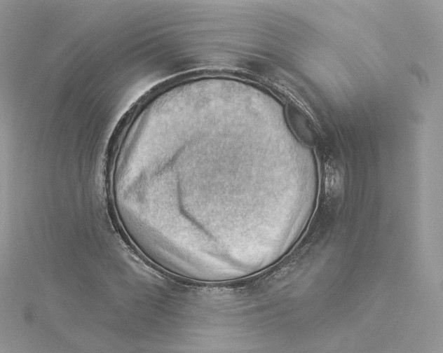 X0000114531068200911161332