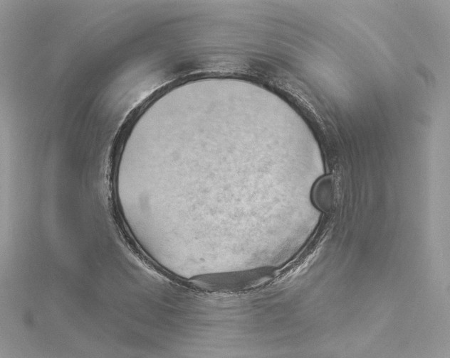 X0000114531071200911161332