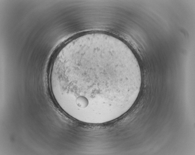 X0000114531072200911161332