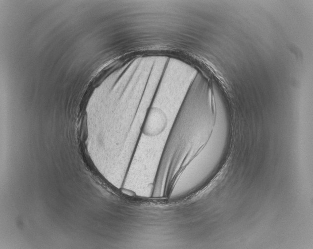 X0000114531073200911161332