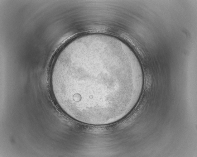 X0000114531074200911161332