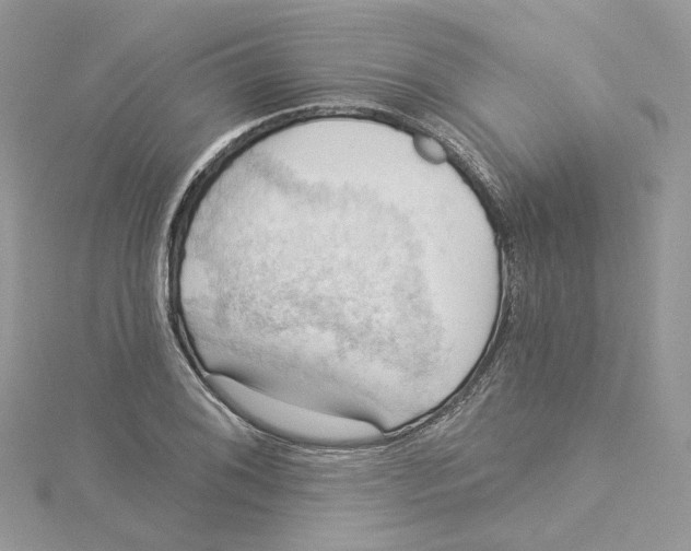 X0000114531076200911161332