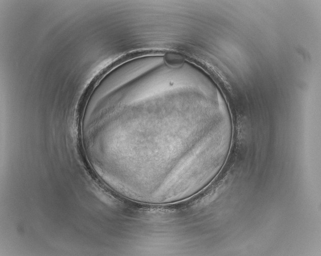 X0000114531077200911161332