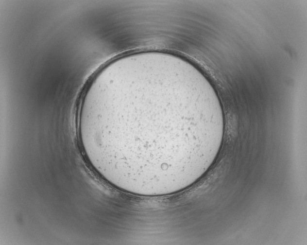 X0000114531078200911161332