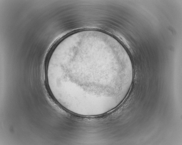 X0000114531080200911161332