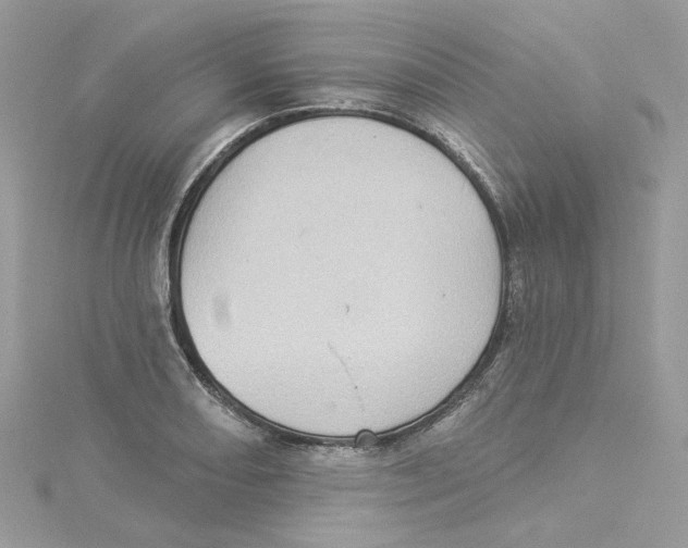 X0000114531082200911161332