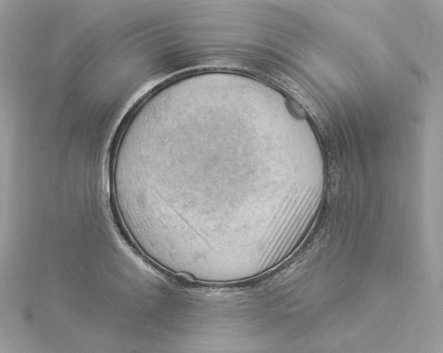 X0000114531084200911161332