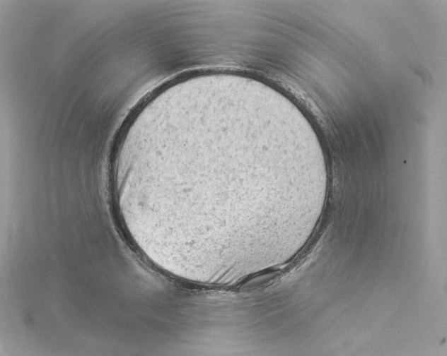 X0000114531085200911161332