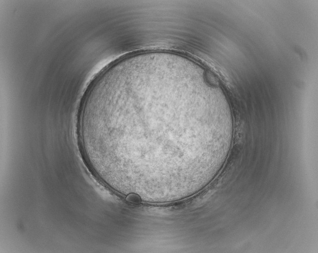 X0000114531086200911161332