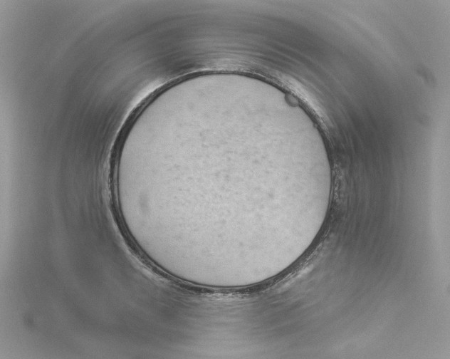 X0000114531087200911161332