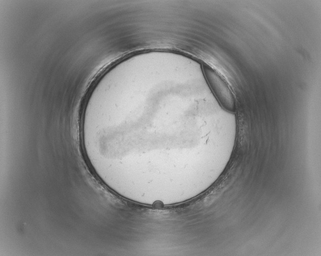 X0000114531088200911161332