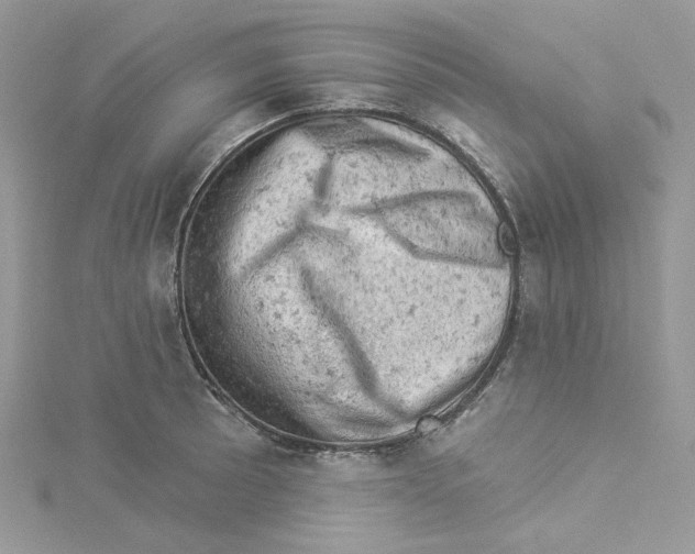 X0000114531089200911161332