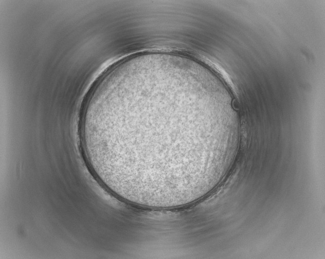 X0000114531091200911161332