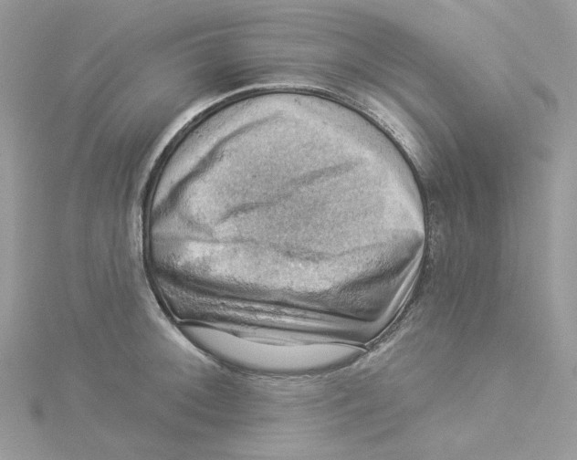 X0000114531092200911161332