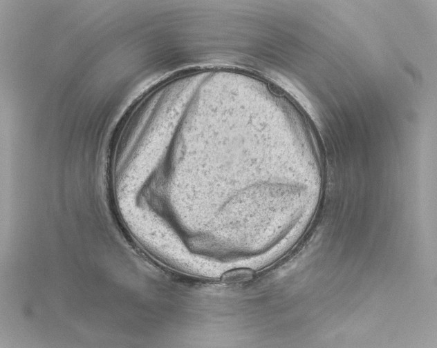 X0000114531093200911161331