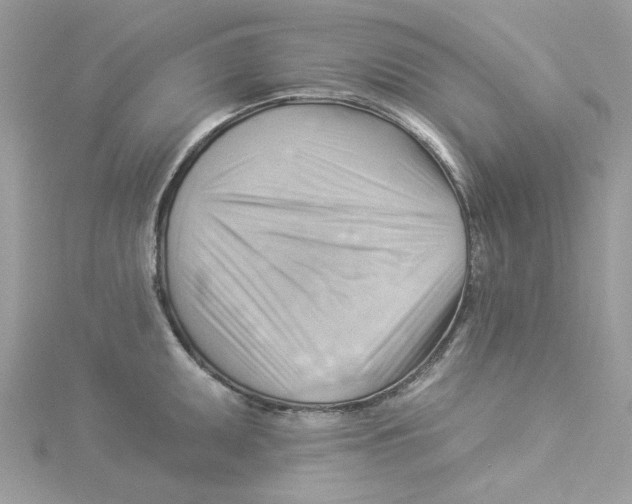 X0000114531095200911161331