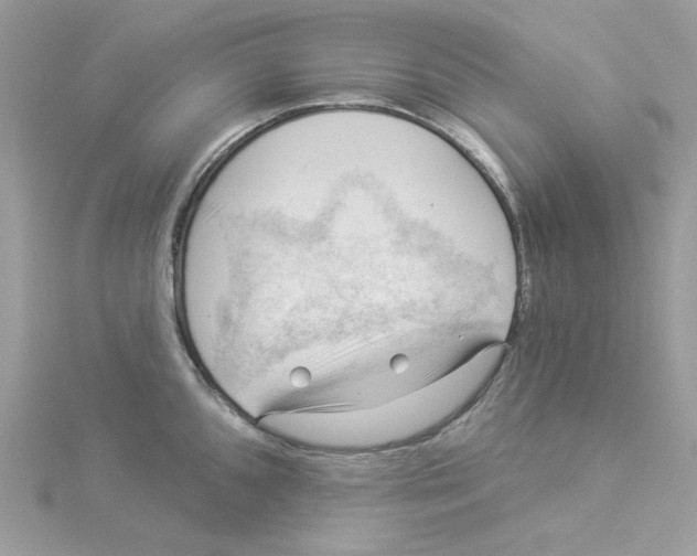 X0000114531096200911161331