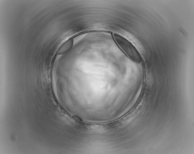 X0000114531097200911161331