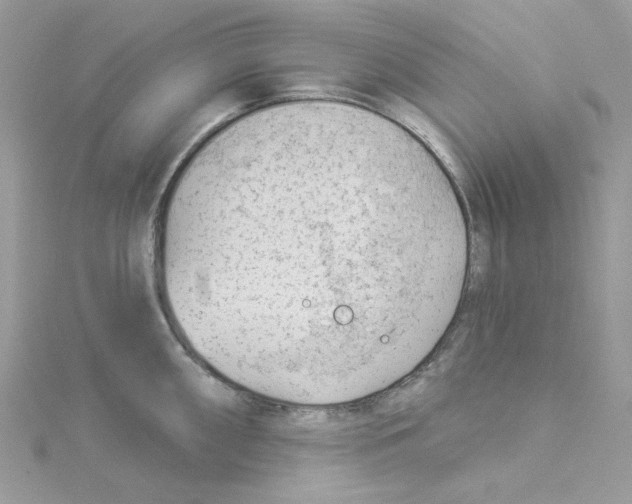 X0000114531098200911161331