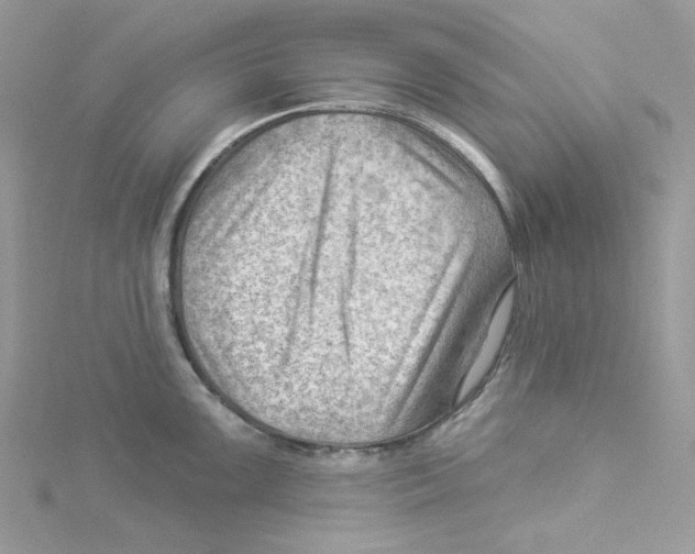 X0000114531099200911161331