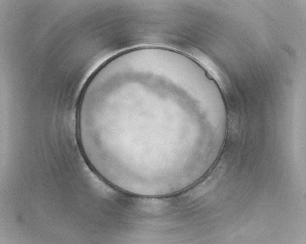 X0000114531100200911161331