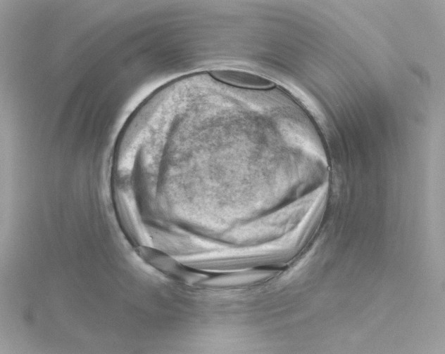 X0000114531102200911161331