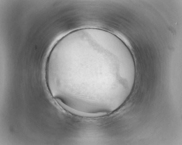 X0000114531104200911161331