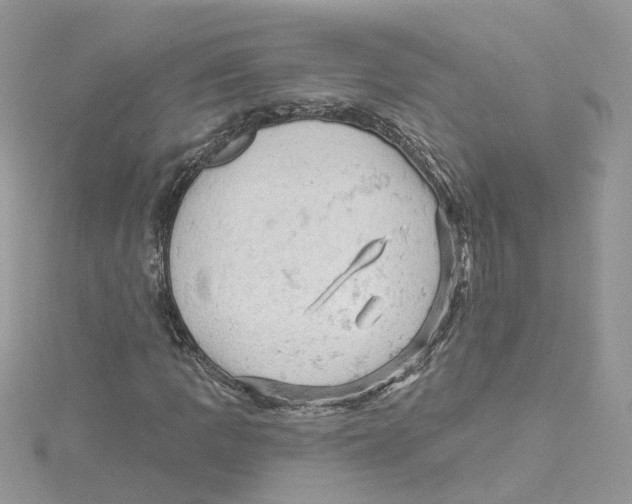 X0000114531109200911161331