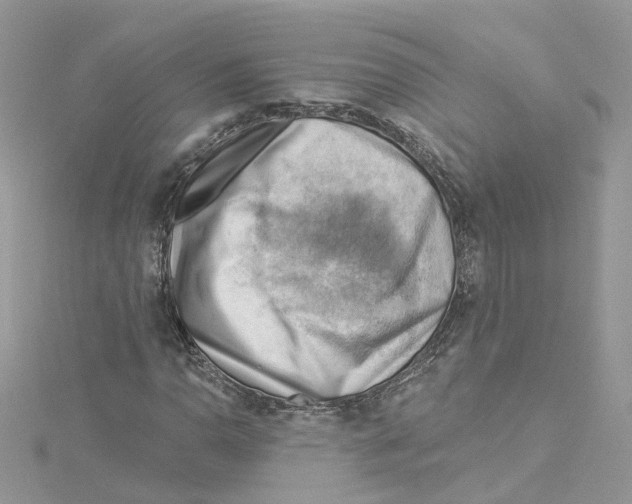 X0000114531110200911161331