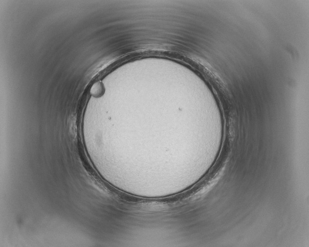 X0000114531113200911161331