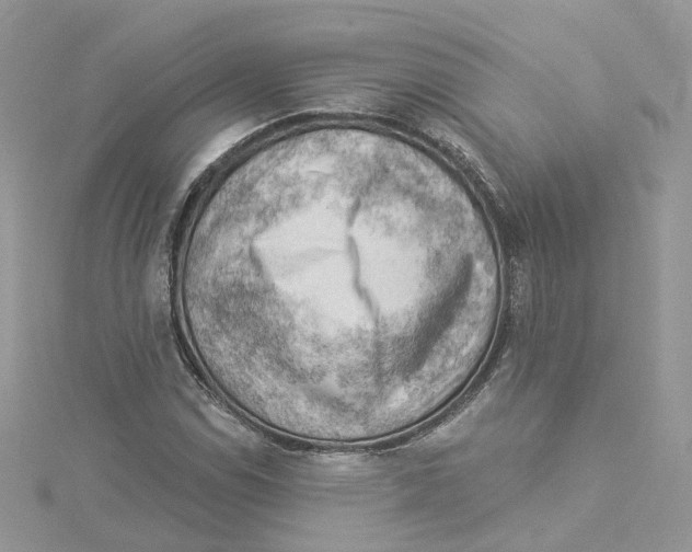 X0000114531114200911161331