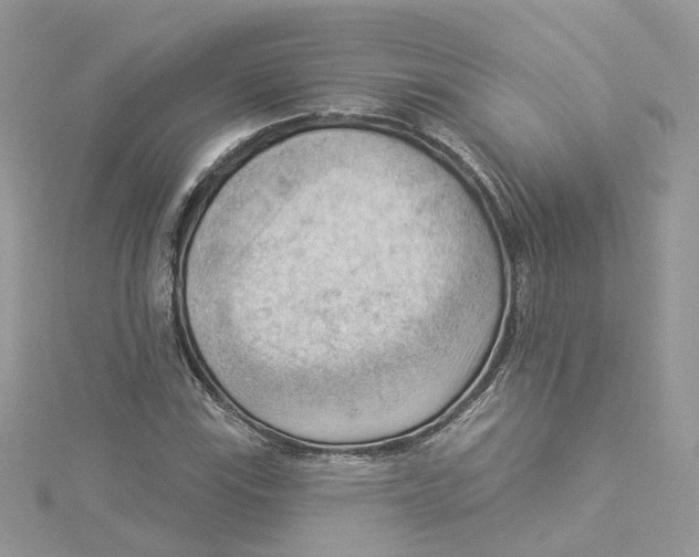 X0000114531115200911161331