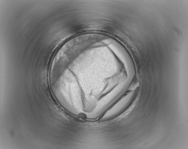 X0000114531121200911161331