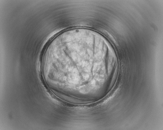 X0000114531125200911161331