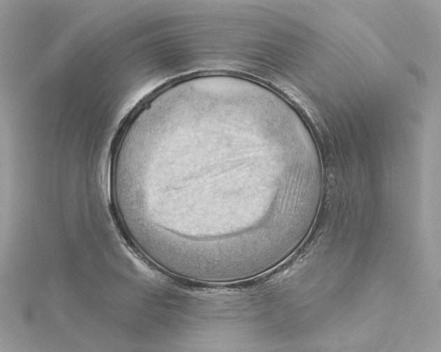 X0000114531127200911161331