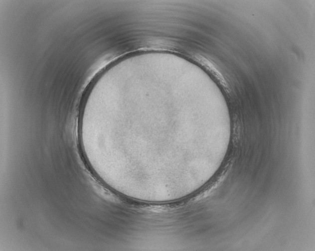 X0000114531130200911161331