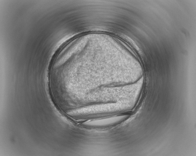 X0000114531133200911161331