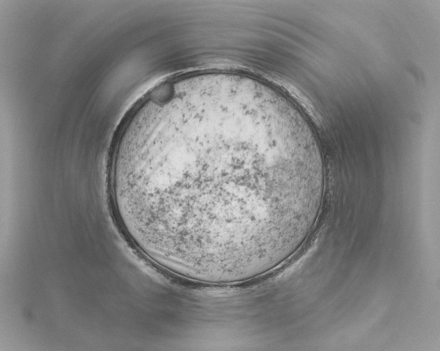 X0000114531134200911161331