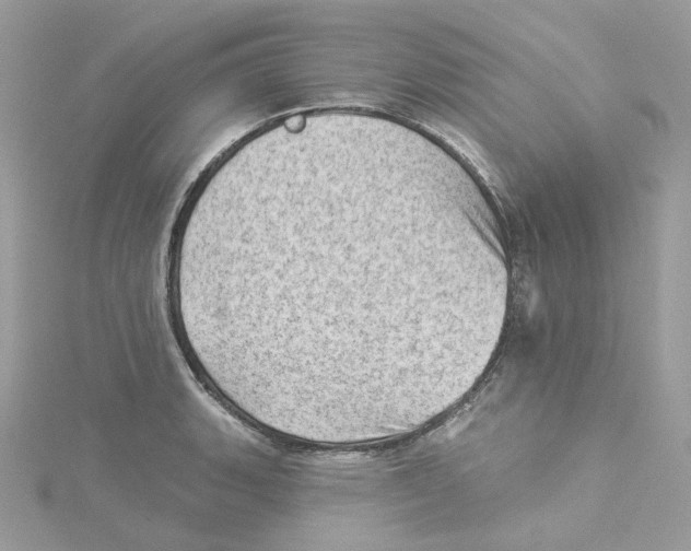 X0000114531135200911161331