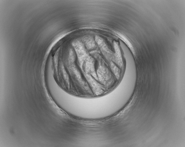 X0000114531138200911161331